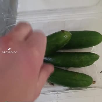 Profilo Derin Dondurucu Sorunu!