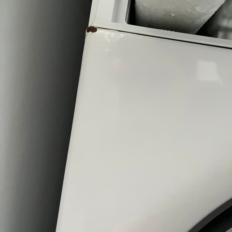 Bosch Çamaşır Makinesinde Ön Panel Paslanması Ve Garanti Dışı Ücretsiz Servis Talebi