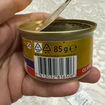 Küflü Mama, Firma Dönüş Yapmıyor