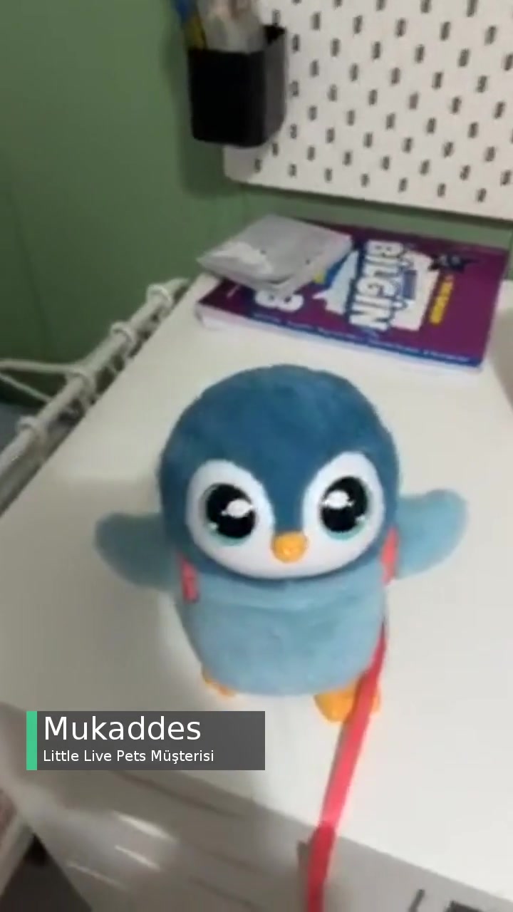 Little Live Pets Yürüyen Penguen Sıkıntılı! videonun kapak resmi