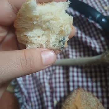 Altınçay Unlu Mamülleri Kaşarlı Poğaçalarda Küf Vardı