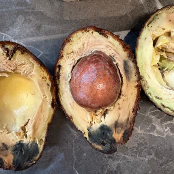 Migros'ta 'Yemeye Hazır' Avokadolar Çürük Çıktı