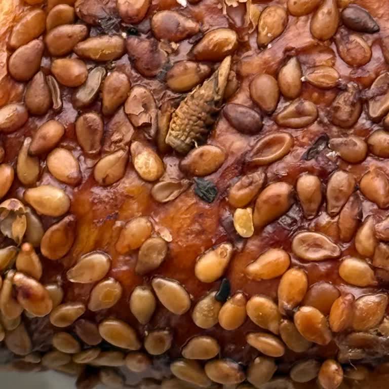 Migros Simidinde Böcek Tespiti