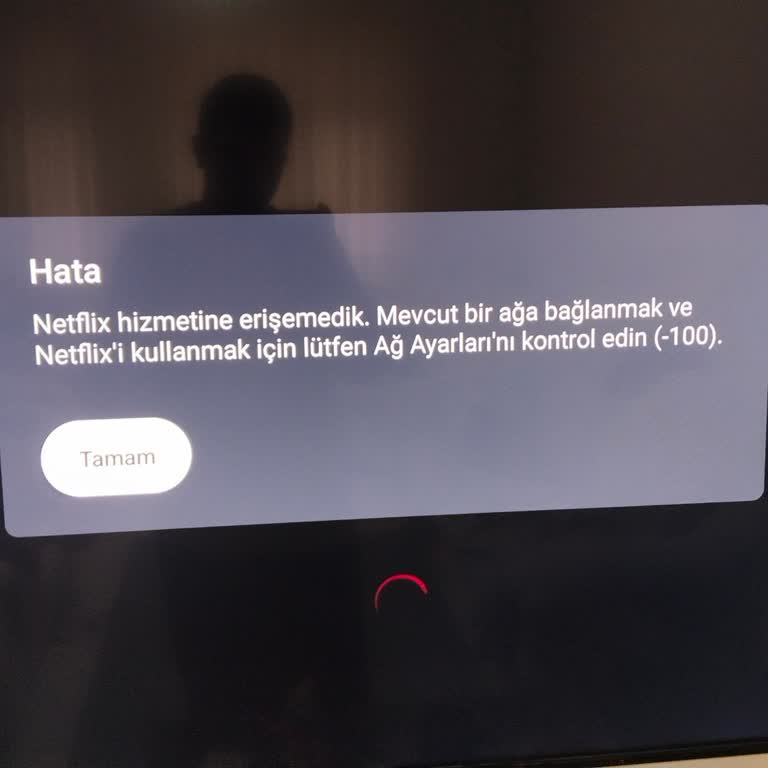 Netflix Ve Disney+ Çalışmayan Televizyonda Yazılım Hatası