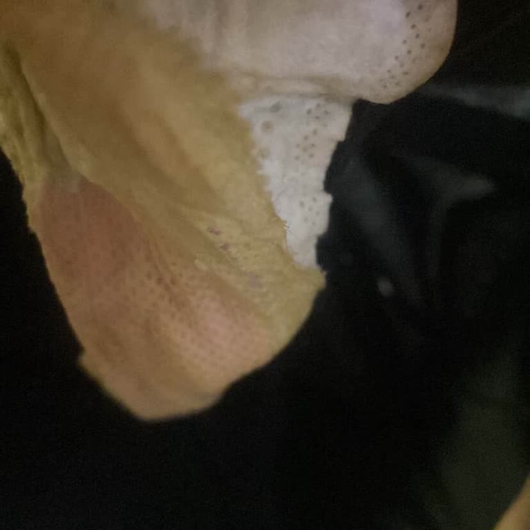 Beije Pedlerinde Kalite Sorunu Ve İade Talebi