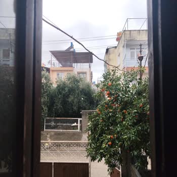 Toroslar Elektrik'te Yangın Riski Yaratacak Kablo Ve Geciken Müdahale