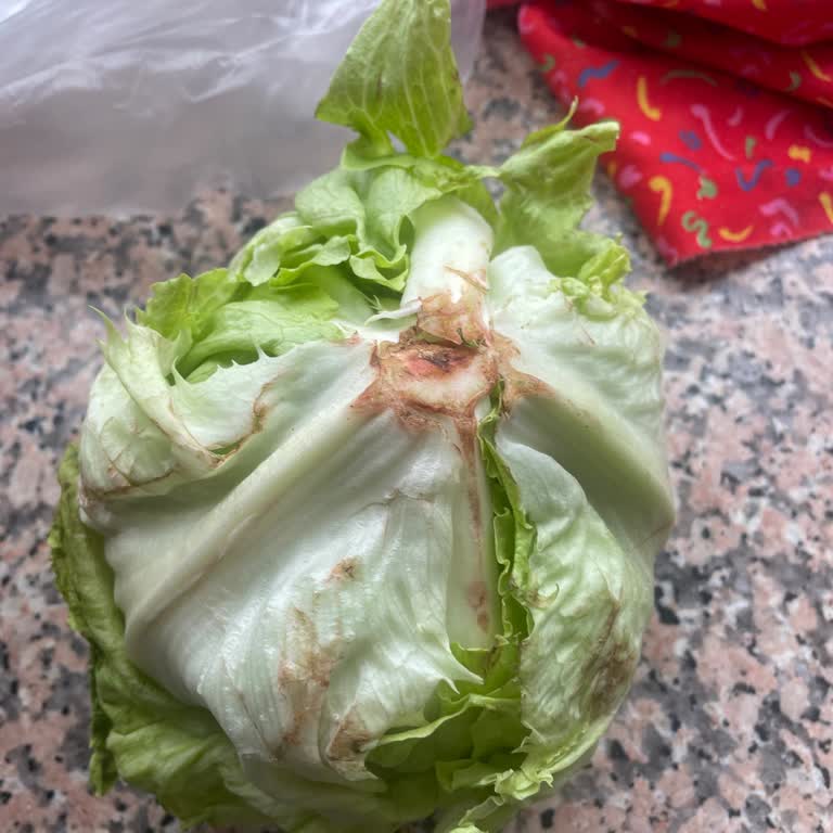 A101 Kızılcıklı Şubesinde Yeşilliklerde Boyut Ve Fiyat Uyumsuzluğu