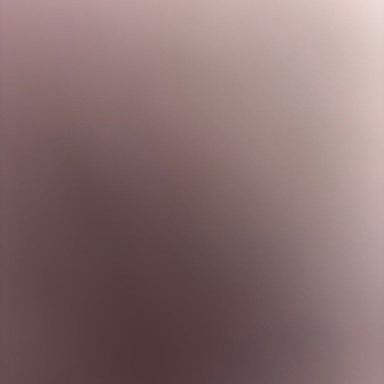 İnegöl Fuzulev Araç Teslim Tarihini Erteleyerek Ödemeye Yanıtsız Kalması