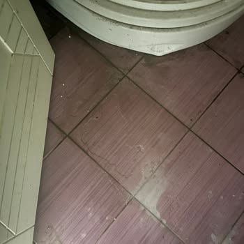 Vizyon Duş Sızıntısı Ve Tamir İhmali