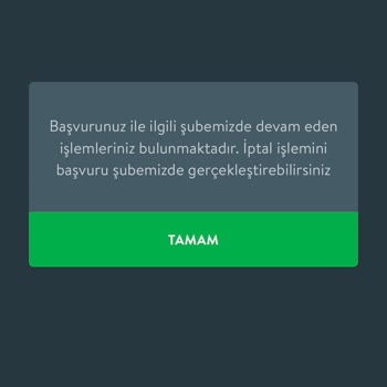 İhtiyaç Kredisi Başvurusu Karar Bekleyişi Ve Şubeler Arası Paslaşma