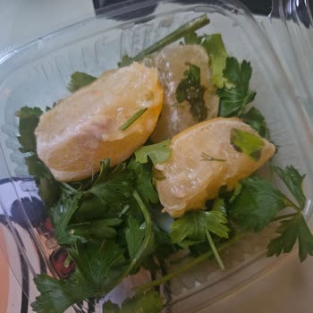 Yemek Sepeti'nde Bozuk Yeşillik Ve Küflü Limon Şikayeti