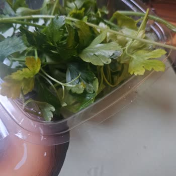 Yemek Sepeti'nde Bozuk Yeşillik Ve Küflü Limon Şikayeti