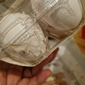 Kırık Yumurtalar, Ezilmiş Patlama Ve Süt Teslim Edilmedi, İade Talebi