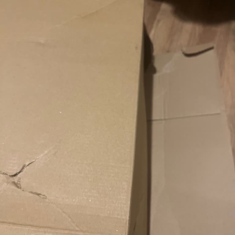 DHL eCommerce Türkiye Kargom Teslim Edilmiyor!