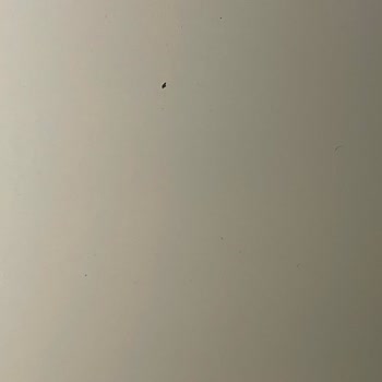 Kısa Sürede Paslanan Beko Çamaşır Makinesinde Kullanılmış Parçalarla Değişim İstiyorum