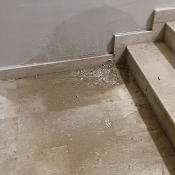 Adıyaman İndere TOKİ B‑15 Kuzu Parselinde Çatı Sızıntısı Ve Asansör Su Riski