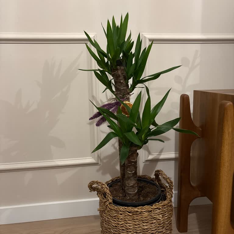 Sipariş Edilen Çiçek Görseldekiyle Uyuşmadı