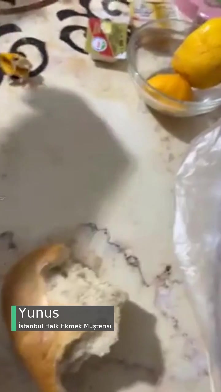 İstanbul Halk Ekmek İçinden Çıkan Ürün videonun kapak resmi