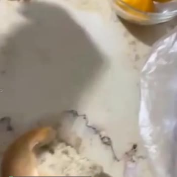 İstanbul Halk Ekmek İçinden Çıkan Ürün