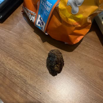 Cheetos'te Taş Büyüklüğünde Siyah Yabancı Madde Bulundu