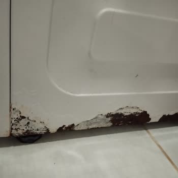 Kurutmalı Çamaşır Makinesindeki Pas Ve Koku Sorunu İçin Ücretsiz Değişim Talebi