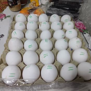 Olden Yumurtaların Large Değil, Small Boyutunda Olduğunu Fark Ettim