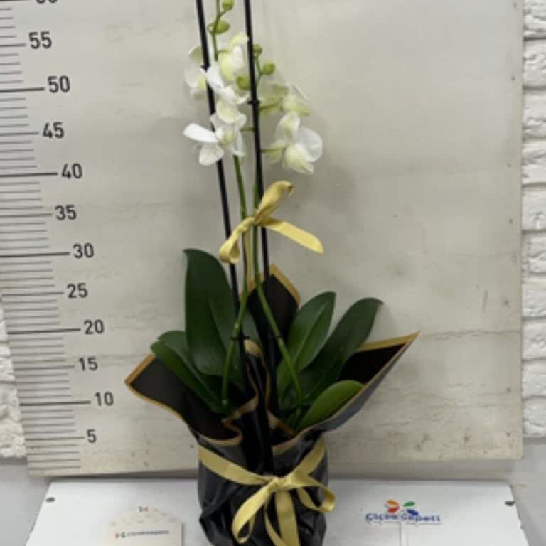 Çiçek Sepeti'nde Teslimat Saati İhlali Ve Geç İptal Bildirimiyle Müşteri Mağduriyeti