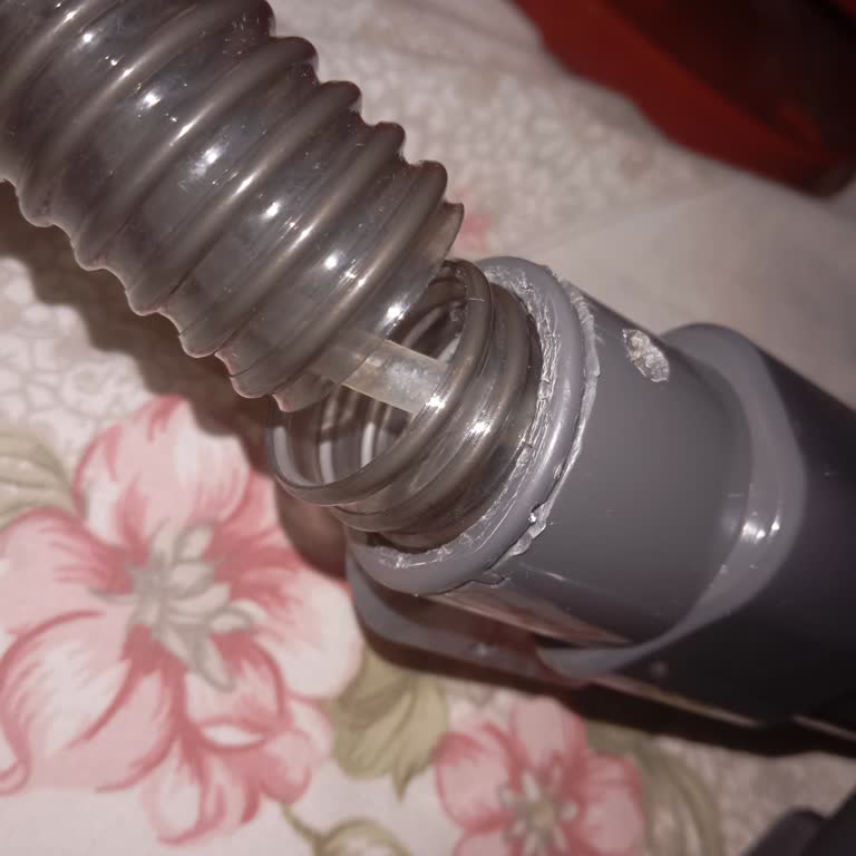 Hortumu Sürekli Kopan Ve Yırtılan Kiwi 4320