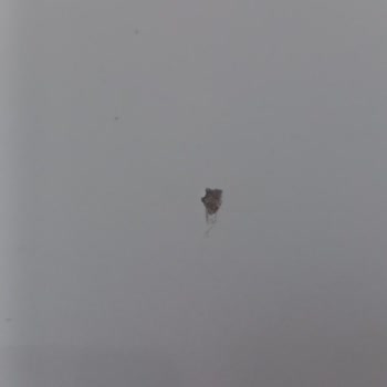 Mondihome 60 Günde Teslim Edilen Ürünlerde Hasar Sorunu