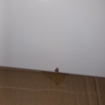 Mondihome 60 Günde Teslim Edilen Ürünlerde Hasar Sorunu