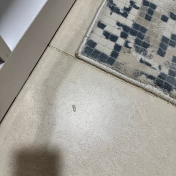 Roborock Robot Süpürge Su Vanası Sızdırıyor Ve Ayıplı Ürün İadesi