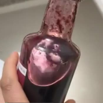 Zühre Ana Bozuk Karadut İğrenç Koku Ve Tat Var!
