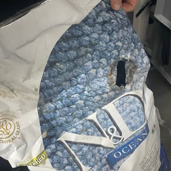 Köyceğiz Market Trendyol'dan Hasarlı Ve Bayat Kedi Maması İçin İade Ve Değişim Talebi