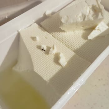 Ayca Beyaz Peynirde Sinek Bulunması Ve Hijyen Şikayeti