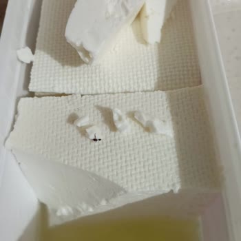 Ayca Beyaz Peynirde Sinek Bulunması Ve Hijyen Şikayeti