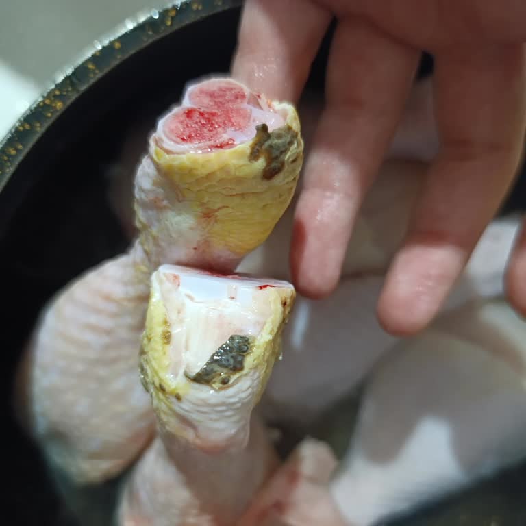 Müşteri Sağlığını Tehdit Eden Küflü Piliç Baget Tazem