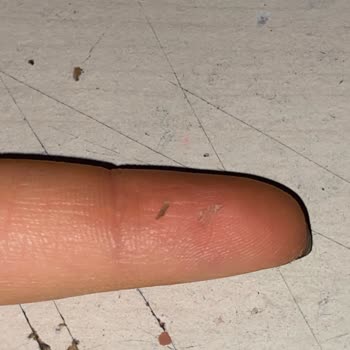 A101 Şubesinde Beypazarı Maden Suyunda Cam Parçası Bulunması