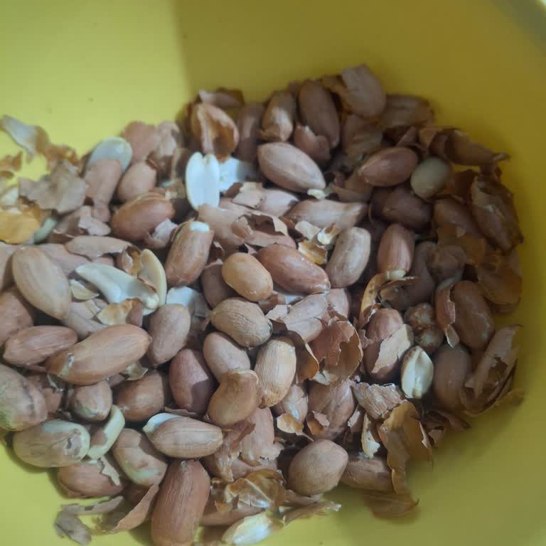 Makbul Kuruyemişlerinde Sürekli Bayat Ve Çiğ Ürün!