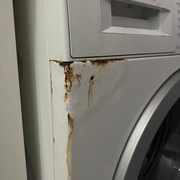 Bosch WAT2448 Deterjan Haznesindeki Paslanma Sorunu İçin Ücretsiz Değişim Talebi