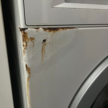 Bosch WAT2448 Deterjan Haznesindeki Paslanma Sorunu İçin Ücretsiz Değişim Talebi