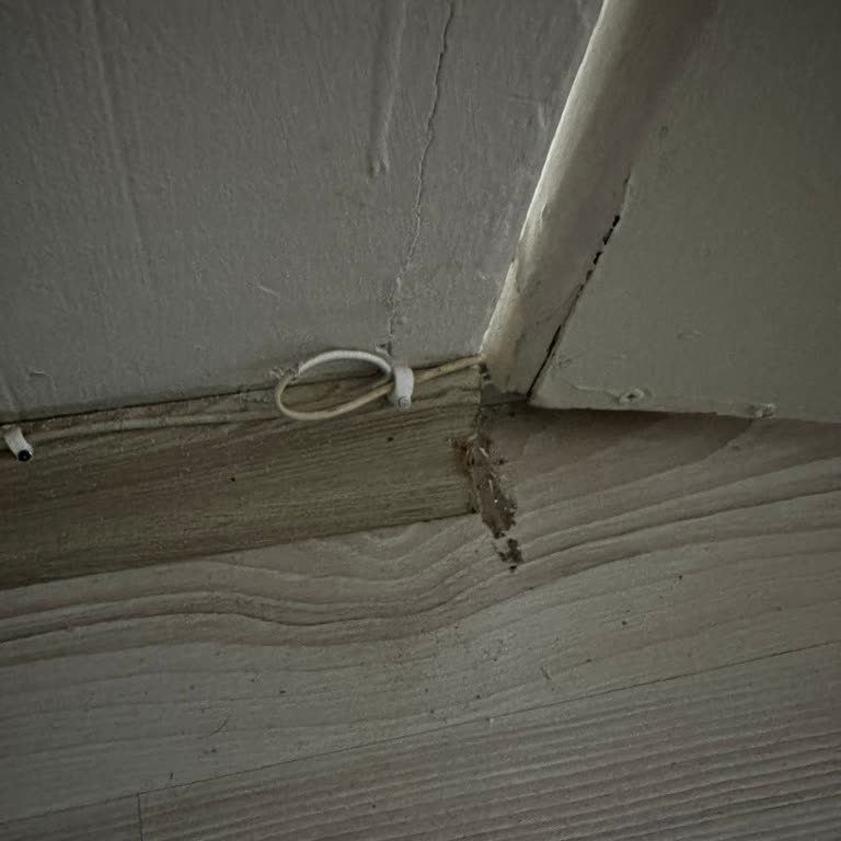 Superonline Kablo Arızası Ve Yanıltıcı Destek Şikayeti