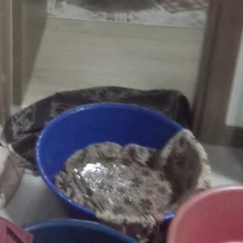 Çatı Sızıntısı Ve Elektrik Riski İçin Acil Onarım Talebi