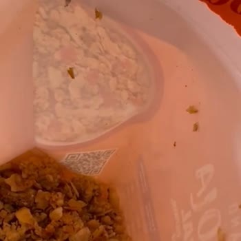 Lami Richland Granola Paketi İçinde Böcek Ve Örümcek Ağı