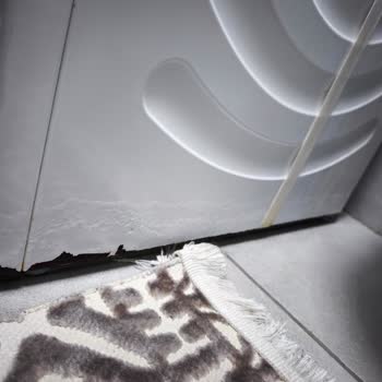 Bosch Çamaşır Makinesinde Hızlı Paslanma Ve Boya Kabarması Ücretsiz Onarım Talebi