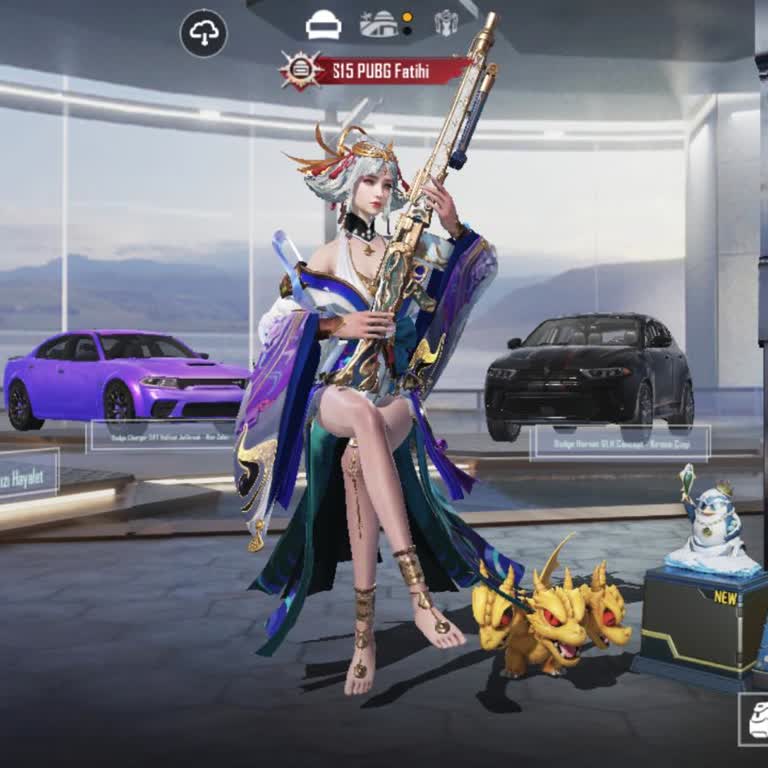 Sahte Kişinin Ele Geçirdiği PUBG Mobile Hesabımın İadesi İçin Acil Talep