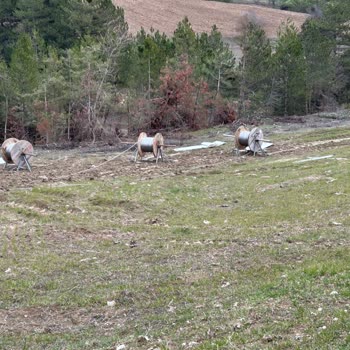 Eki aç
