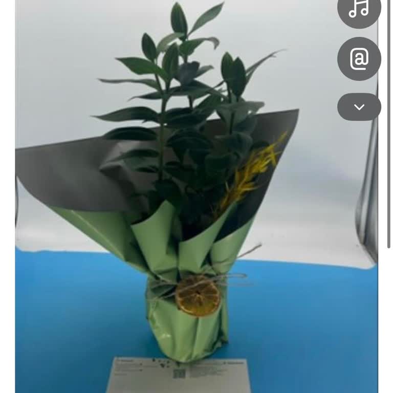 Yanlış Ürün Gönderimi Ve Destekten Yanıt Alamama