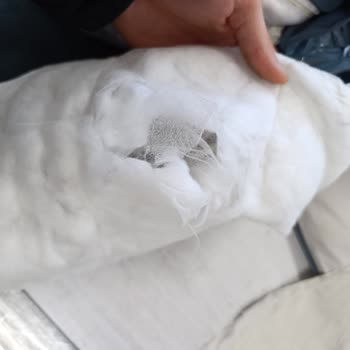 Kısa Sürede Dolgu Bozulması Ve Kullanılamaz Hale Gelen Mont İçin Ücret İadesi Talebi