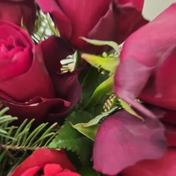 Çiçek Sepeti Canlı Güller Yanık Ve Yıpranmış!