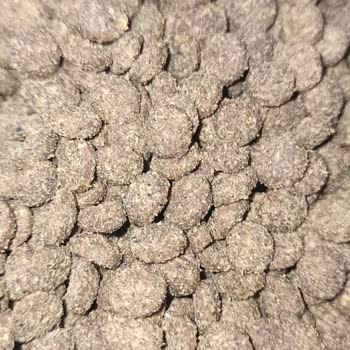 Farmina - N&D Mama Bozuk Çıkan Ürün Kedilerimin Sağlığını Tehlikeye Attı!